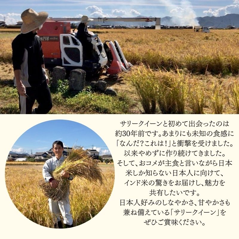 令和7年産 サリークイーン500g×2袋 300g×4袋 香り米 米 こめ　セット