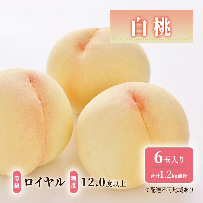 å
è¡äºçŽ æŽãã®åœ 岡山ã®ãã«ãŒã å®æäŸ¿ 2åã³ãŒã¹ 1åç®ãã€ã€ã«çœæ¡6ç åèšçŽ1.2kgïŒ2åç®å¬æ¡ããã6å åèšçŽ1.2kg