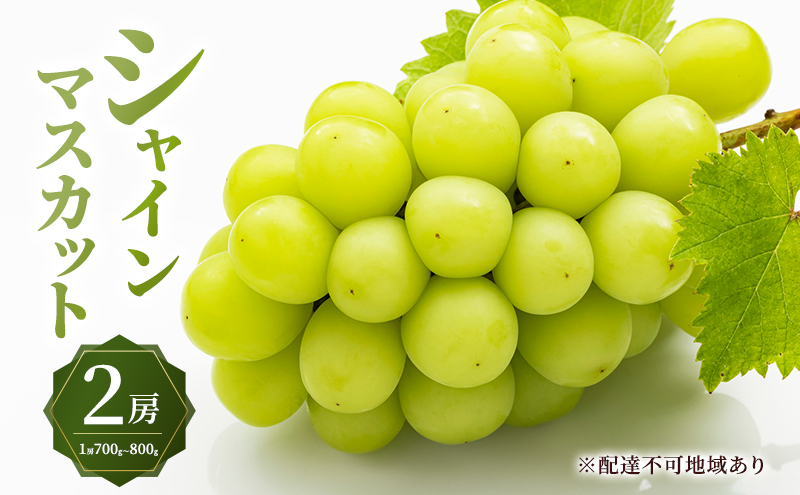 ぶどう 2026年 先行予約 シャイン マスカット 2房 （1房700g～800g） 大粒 種無し ブドウ 葡萄 岡山県産 国産 フルーツ 果物 ギフト MAKANAファーマーズ 種なし 皮ごと デザート