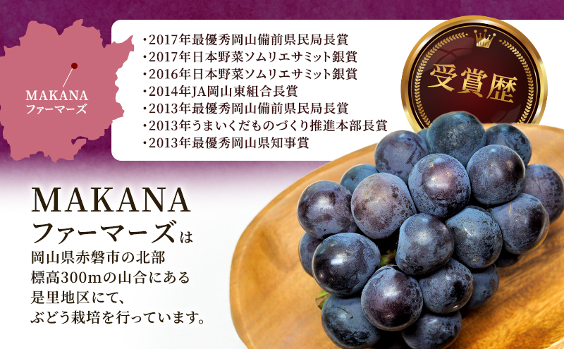 ぶどう 2026年 先行予約 オーロラ ブラック 2房（1房600g～700g） 大粒 種無し ブドウ 葡萄 岡山県産 国産 フルーツ 果物 ギフト MAKANAファーマーズ 果物類 オーロラブラック