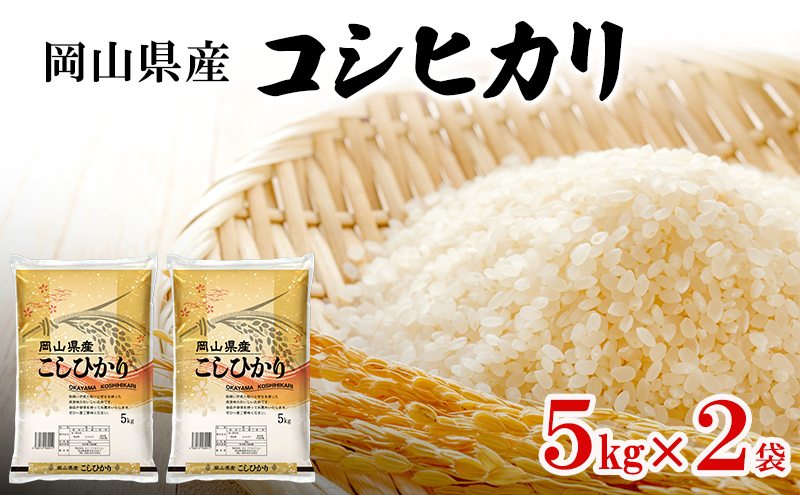 岡山県産 コシヒカリ 5kg×2袋(計10kg) 米 お米 コメ 白米 精米 国産 岡山 瀬戸内市