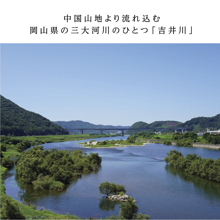 岡山çãŸãã®ããŸããããã©ã 5å 麺é¡