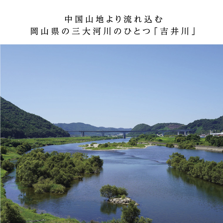 清酒リキュール「白桃酒」「マスカット酒」飲み比べ お酒 洋酒 