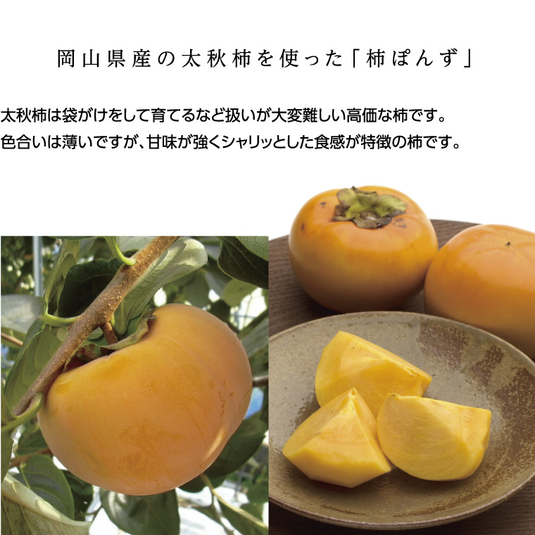 柿ぽんず 本かえしセット 調味料 ポン酢 