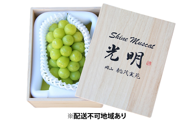 ã¶ã©ã æ©æåä» æ¥µäžè¿œç ã·ã£ã€ã³ ãã¹ã«ãã 1æ¿ 650gä»¥äž ãå
æãæ¡ç®±å
¥ã ãã㊠è¡è 岡山çç£ åœç£ ãã«ãŒã æç© ã®ãã æ¡èå®è æç©é¡