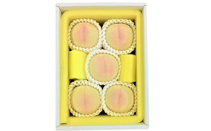 æ¡ 2026幎 å
è¡äºçŽ çœæ¡ 5ç åèšçŽ1.3kg ãã ã¢ã¢ 岡山çç£ åœç£ ãã«ãŒã æç© ã®ãã