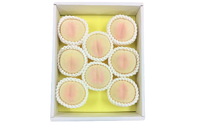 æ¡ 2026幎 å
è¡äºçŽ æž
æ°Žçœæ¡ 8ç åèšçŽ2.0kg ãã ã¢ã¢ 岡山çç£ åœç£ ãã«ãŒã æç© ã®ãã