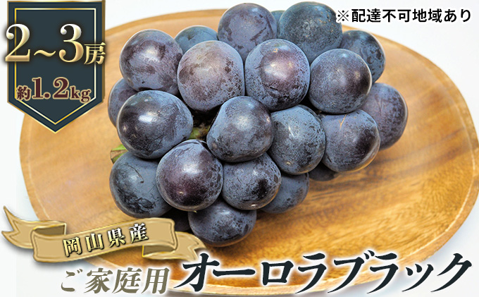 ぶどう 2026年 先行予約 ご家庭用 オーロラブラック 2～3房 合計約1.2kg ブドウ 葡萄  岡山県産 国産 フルーツ 果物 ギフト