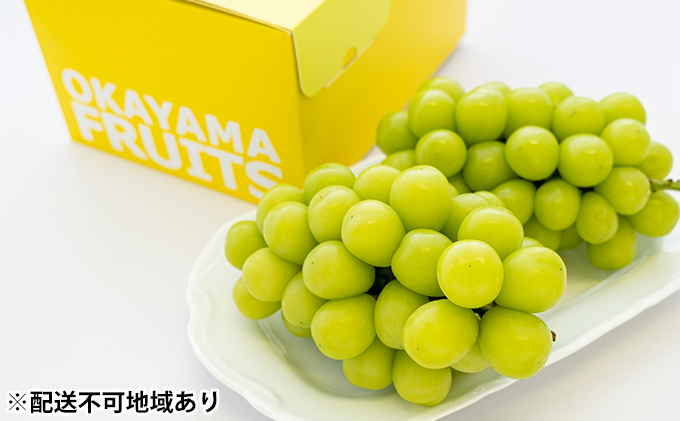ぶどう 2026年 先行予約 ご家庭用 シャイン マスカット 2～3房 合計約1.2kg ブドウ 葡萄  岡山県産 国産 フルーツ 果物 ギフト