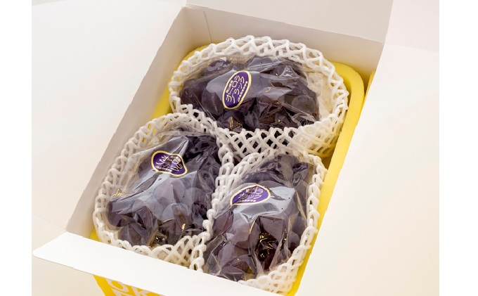 ぶどう 2026年 先行予約 ご家庭用 オーロラブラック 2～3房 合計約1.2kg ブドウ 葡萄  岡山県産 国産 フルーツ 果物 ギフト