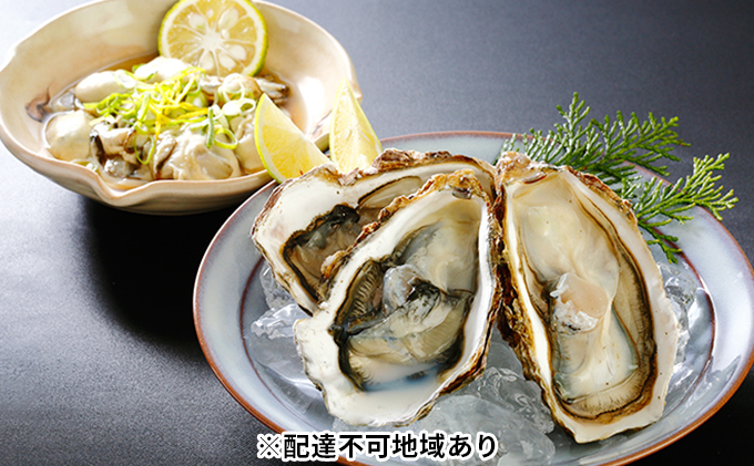 秀栄水産 瀬戸内の 牡蠣セット（むき身700g＋殻つき約2kg） 海の幸 海のミルク 海鮮 貝 岡山県 瀬戸内市 虫明湾 魚介類 カキ 2.7kg