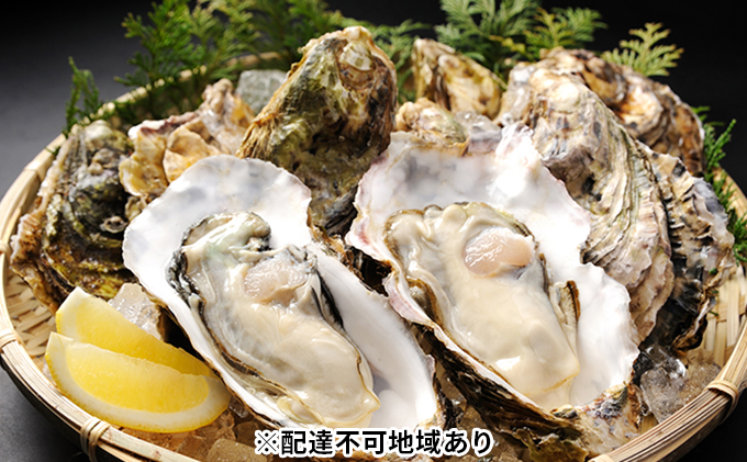 秀栄水産 瀬戸内の 牡蠣 （殻つき ハーフ缶 約6kg前後） 海の幸 海のミルク 海鮮 貝 岡山県 瀬戸内市 虫明湾 魚介類 カキ
