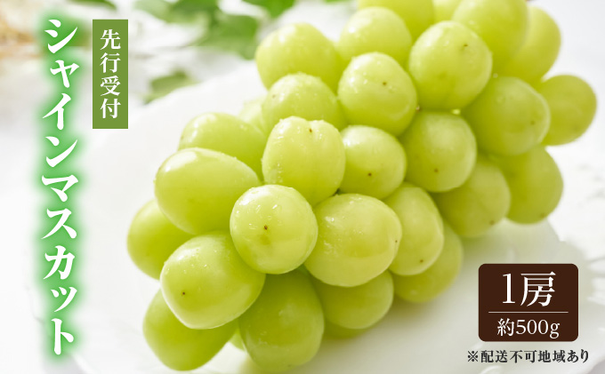 ã¶ã©ã 2026幎 å
è¡äºçŽ ã·ã£ã€ã³ ãã¹ã«ãã 1æ¿ çŽ500g ãã㊠è¡è 岡山çç£ åœç£ ãã«ãŒã æç© ã®ãã