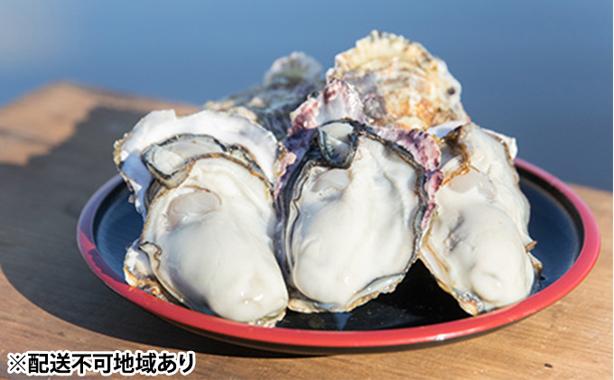 ç¡è £ 2026幎å
è¡äºçŽ ã¢ãªæ¬ ç¡è £ åæçŒ¶ æ®»ä»ã çŽ5ïœ6kgïŒçŽ45ïœ60åïŒ å²¡å±±ç ç¬æžå
åž è«æç£ éä»é¡ ã«ã ãã