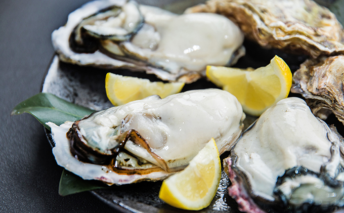 ç¡è £ 2026幎å
è¡äºçŽ ã¢ãªæ¬ ç¡è £ åæçŒ¶ æ®»ä»ã çŽ5ïœ6kgïŒçŽ45ïœ60åïŒ å²¡å±±ç ç¬æžå
åž è«æç£ éä»é¡ ã«ã ãã