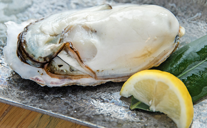 ç¡è £ 2026幎å
è¡äºçŽ ã¢ãªæ¬ ç¡è £ åæçŒ¶ æ®»ä»ã çŽ5ïœ6kgïŒçŽ45ïœ60åïŒ å²¡å±±ç ç¬æžå
åž è«æç£ éä»é¡ ã«ã ãã