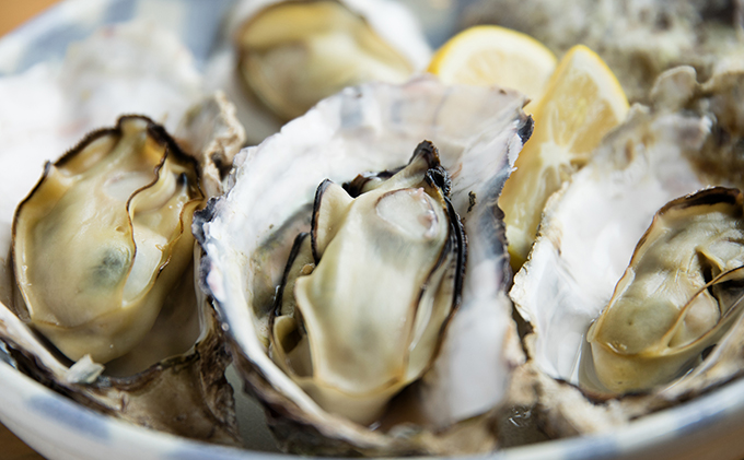 ç¡è £ 2026幎å
è¡äºçŽ ã¢ãªæ¬ ç¡è £ åæçŒ¶ æ®»ä»ã çŽ5ïœ6kgïŒçŽ45ïœ60åïŒ å²¡å±±ç ç¬æžå
åž è«æç£ éä»é¡ ã«ã ãã