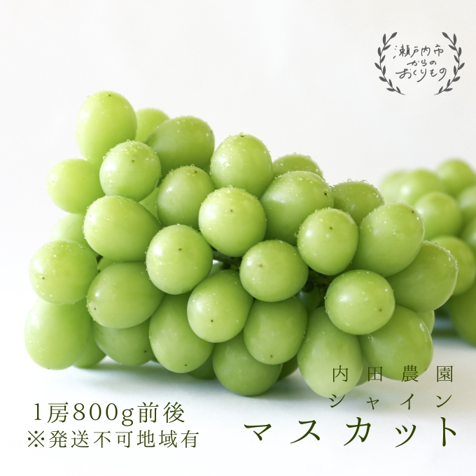 シャインマスカット1房（800g前後）内田農園 岡山県 瀬戸内市 邑久町産 葡萄 ぶどう 2026年【配達不可：北海道・沖縄・離島】 果物類 ブドウ フルーツ