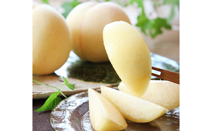桃 2026年 先行予約 岡山特産 清水白桃 約2.0kg 7～8玉 桐箱入りもも モモ 岡山 国産 フルーツ 果物 ギフト 桃茂実苑  約2kg 