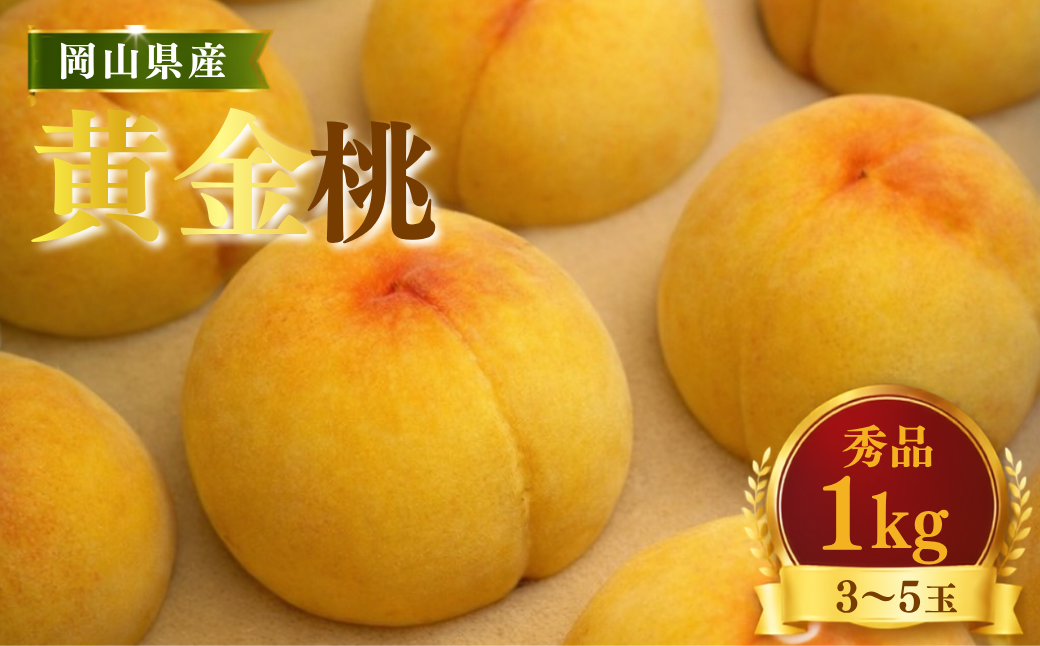 【先行受付】黄桃1kg | 岡山県産 黄金桃 桃 フルーツ 果物 高級フルーツ 岡山 桃 お取り寄せ 産地直送 希少品種 国産フルーツ 黄金桃 人気 数量限定 旬の果物 甘い ジューシー 芳醇 みずみずしい 夏の味覚 先行予約