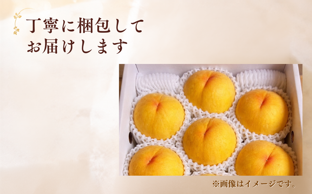 【先行受付】黄桃1kg | 岡山県産 黄金桃 桃 フルーツ 果物 高級フルーツ 岡山 桃 お取り寄せ 産地直送 希少品種 国産フルーツ 黄金桃 人気 数量限定 旬の果物 甘い ジューシー 芳醇 みずみずしい 夏の味覚 先行予約