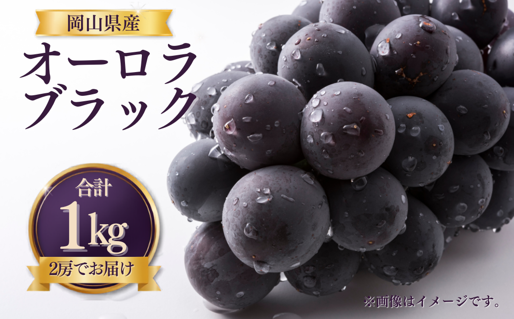 【先行受付】 岡山県産 オーロラブラック 1kg（2房） | オーロラブラック ぶどう 葡萄 岡山県産 国産フルーツ 果物 大粒ぶどう 種なし 甘い ジューシー 旬の果物 フルーツ お取り寄せ 産地直送 人気 数量限定 先行予約 果実