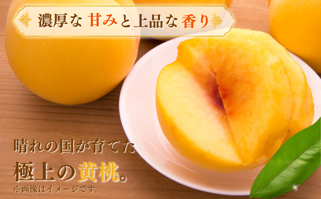 【先行受付】黄桃1kg | 岡山県産 黄金桃 桃 フルーツ 果物 高級フルーツ 岡山 桃 お取り寄せ 産地直送 希少品種 国産フルーツ 黄金桃 人気 数量限定 旬の果物 甘い ジューシー 芳醇 みずみずしい 夏の味覚 先行予約