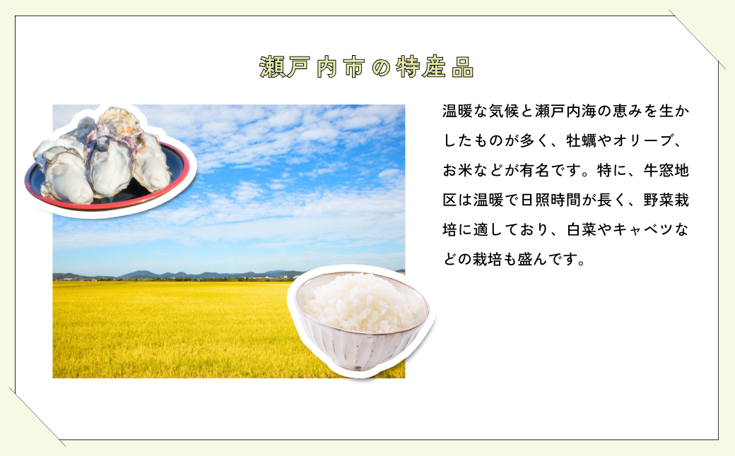 【先行受付】 岡山県産 オーロラブラック 1kg（2房） | オーロラブラック ぶどう 葡萄 岡山県産 国産フルーツ 果物 大粒ぶどう 種なし 甘い ジューシー 旬の果物 フルーツ お取り寄せ 産地直送 人気 数量限定 先行予約 果実
