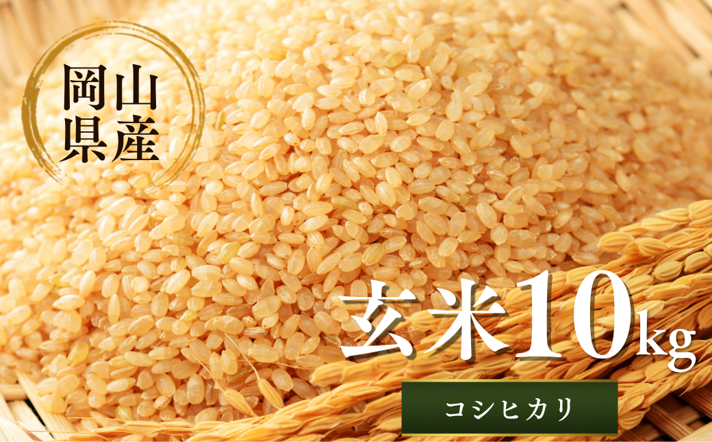 先行予約 令和8年産 新米 岡山県産米10㎏(コシヒカリ) | 岡山県産米 10kg コシヒカリ お米 玄米 国産米 ごはん 米 人気品種 10キロ 産地直送 家庭用 お取り寄せ