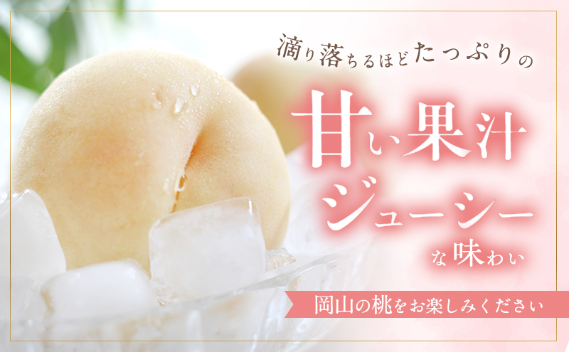 桃 2026年 先行予約 白桃 白鳳 約2kg 5～7玉 贈答用 もも モモ フルーツ 果物 岡山 赤磐市産 農マル園芸 あかいわ農園 