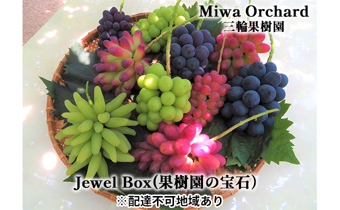 ジュエルボックス（皮ごと食べることのできる葡萄4～5品種詰合せ 約2kg） 岡山県赤磐市産