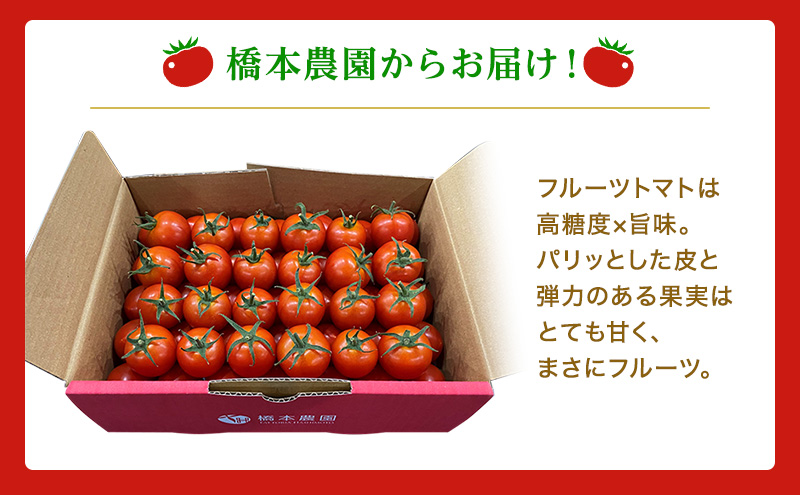  フルーツ トマト ［2026年先行予約］ トマデリッシュ 約1.2kg 橋本農園 岡山 野菜 高糖度 旨味 弾力 果実 甘い サラダ そのまま 岡山県産 緑黄色野菜 