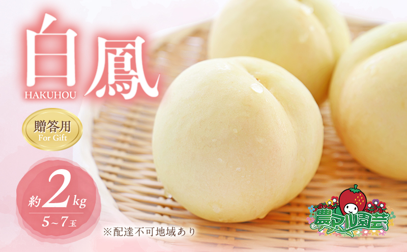 桃 2026年 先行予約 白桃 白鳳 約2kg 5～7玉 贈答用 もも モモ フルーツ 果物 岡山 赤磐市産 農マル園芸 あかいわ農園