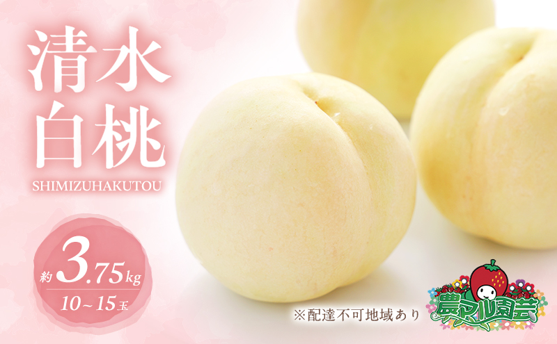 桃 2026年 先行予約 清水 白桃 約3.75kg 10～15玉 進物用 もも モモ フルーツ 果物 岡山 赤磐市産 農マル園芸 あかいわ農園 家庭用 3.75キロ