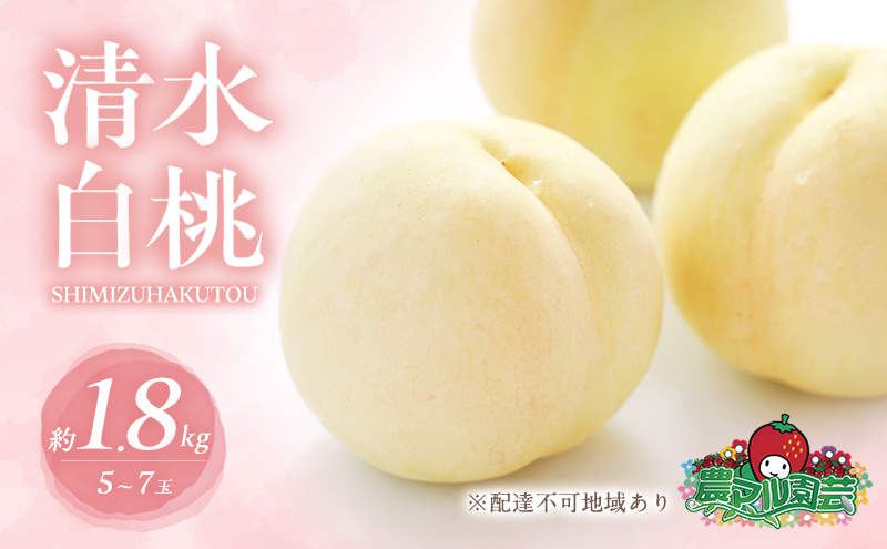 桃 2026年 先行予約 清水 白桃 約1.8kg 5～7玉 進物用 もも モモ フルーツ 果物 岡山 赤磐市産 農マル園芸 あかいわ農園 家庭用