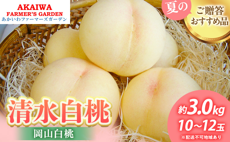 桃 2025年 先行予約 清水 白桃 約3.0kg 10～12玉 もも 岡山県 赤磐市産 フルーツ 果物 あかいわファーマーズガーデン 果物類