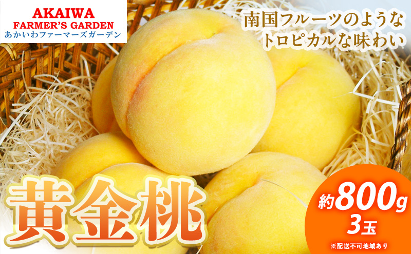 桃 2025年 先行予約 黄金桃 約800g 3玉 もも 岡山県 赤磐市産 フルーツ 果物 あかいわファーマーズガーデン 果物類