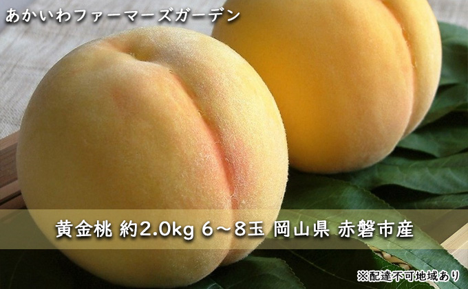 桃 2024年 先行予約 黄金 桃 約2.0kg 6～8玉 もも 岡山県 赤磐市産 フルーツ 果物 あかいわファーマーズガーデン