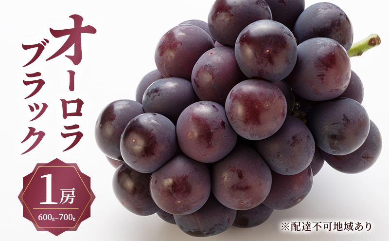 ぶどう 2026年 先行予約 オーロラ ブラック 1房 600g～700g 大粒 種無し ブドウ 葡萄 岡山県 赤磐市産 国産 フルーツ 果物 ギフト MAKANAファーマーズ 甘みが強い 香り高い デザート