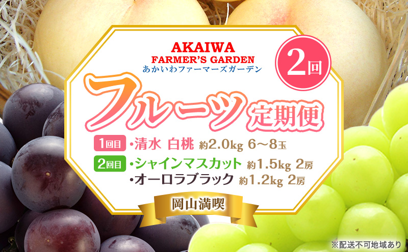 桃 ぶどう 定期便 2025年 先行予約 岡山満喫！ 清水 白桃 約2.0kg 6～8玉 ぶとう 2種 詰合せ 2回に分けてお届け! 