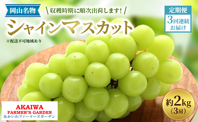 ぶどう 2025年 先行予約 定期便 岡山名産 シャインマスカット 3房 (約2.0kg) 3回連続お届け！ 葡萄 岡山県 赤磐市産 フルーツ 果物 あかいわファーマーズガーデン