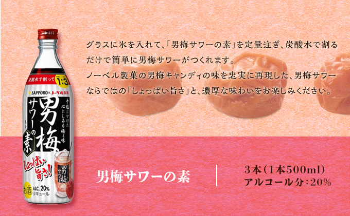 サッポロ 男梅サワー の素 3本（1本500ml） お酒 男梅 サワー 梅味 原液 家飲み 宅飲み 晩酌 割りもの しょっぱい旨さ 濃厚な味わい 