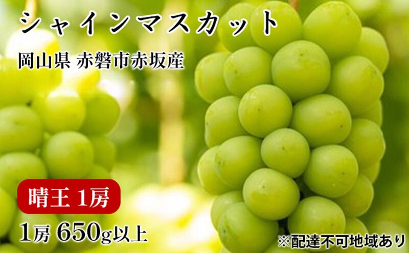 ぶどう 2025年 先行予約 シャイン マスカット 晴王 1房 650g以上 2025年6月下旬～7月下旬発送分 ブドウ 葡萄 岡山県 赤磐市産 国産 フルーツ 果物 ギフト 赤坂青空市