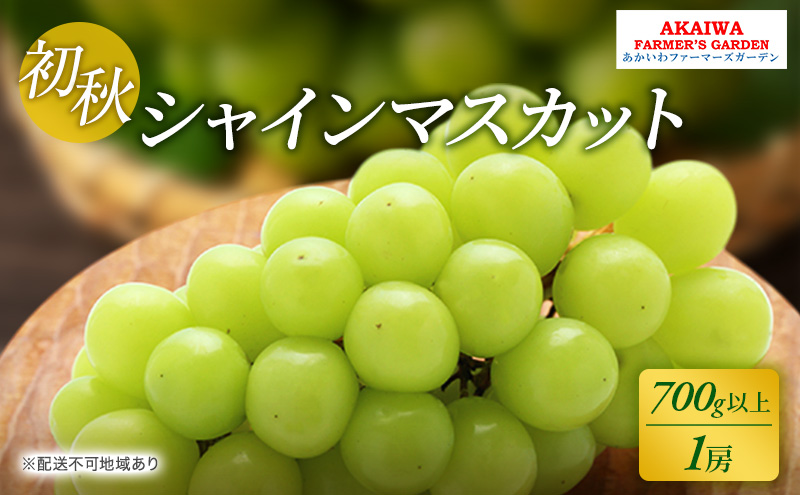 ぶどう 2025年 先行予約 シャインマスカット 700g以上 1房 初秋 葡萄 岡山県 赤磐市産 フルーツ 果物 あかいわファーマーズガーデン