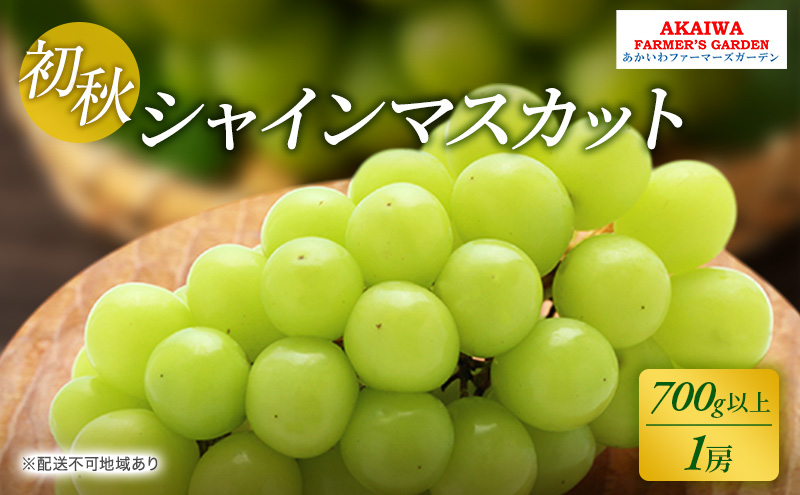 ぶどう 2025年 先行予約 シャインマスカット 700g以上 1房 初秋 葡萄 岡山県 赤磐市産 フルーツ 果物 あかいわファーマーズガーデン 果物類