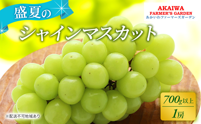 ぶどう 2025年 先行予約 シャインマスカット 700g以上 1房 盛夏 葡萄 岡山県 赤磐市産 フルーツ 果物 あかいわファーマーズガーデン 果物類