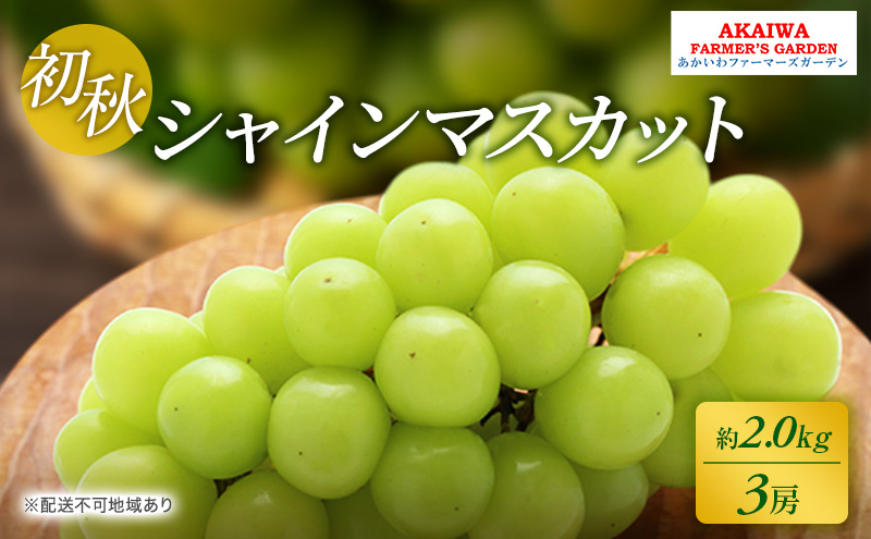 ぶどう 2025年 先行予約 シャインマスカット 約2.0kg 3房 初秋 葡萄 岡山県 赤磐市産 フルーツ 果物 あかいわファーマーズガーデン 果物類