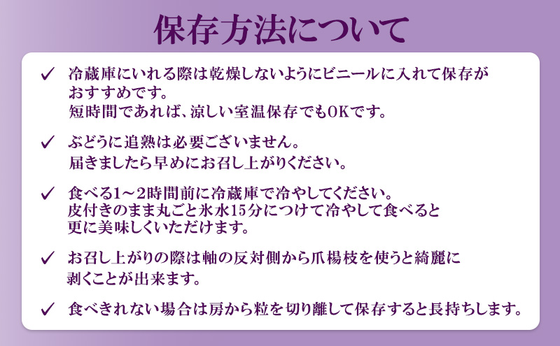 ぶどう 2026年 先行予約 ニュー ピオーネ 大粒 1房 550g以上 ブドウ 葡萄 岡山県 赤磐市産 国産 フルーツ 果物 ギフト 赤坂青空市 黒ブドウ 果物類 