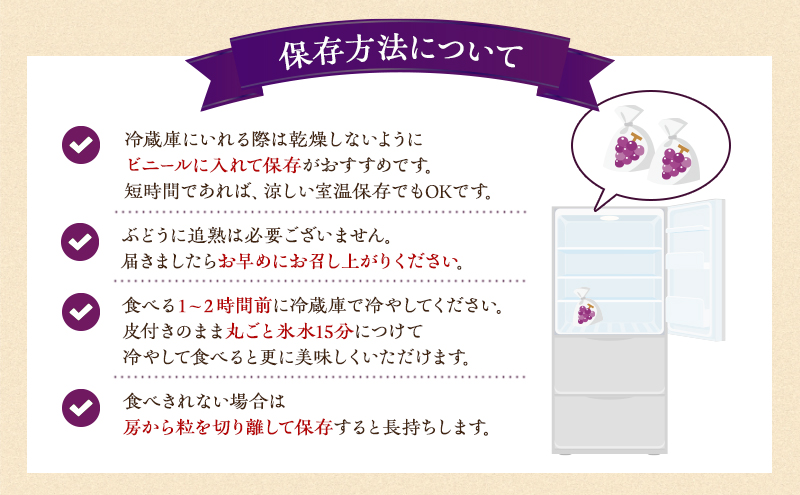 ぶどう 2026年 先行予約 オーロラブラック 約2kg 4～5房 ご家庭用 ブドウ 葡萄 フルーツ 果物 岡山 赤磐市産 農マル園芸 あかいわ農園 種なし 大粒 高糖度 
