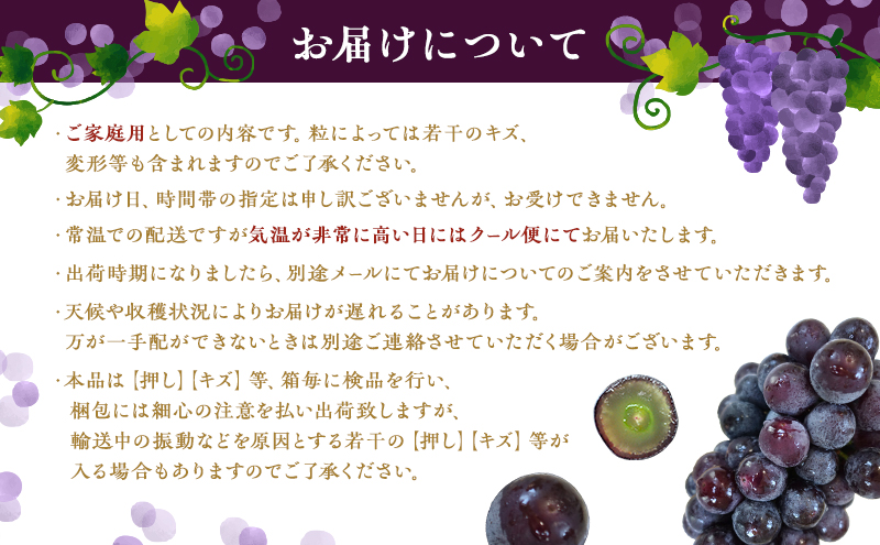 ぶどう 2026年 先行予約 オーロラブラック 約2kg 4～5房 ご家庭用 ブドウ 葡萄 フルーツ 果物 岡山 赤磐市産 農マル園芸 あかいわ農園 種なし 大粒 高糖度 